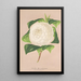 Reproduktion des Gemäldes Camellia alba ornatissima - Charles Antoine Lemaire