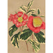 Riproduzione del dipinto Camellia japonica sesanqua - Charles Antoine Lemaire