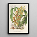 Riproduzione del dipinto Catasetum trimerochilum - Charles Antoine Lemaire