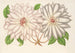 Clematis patens - Charles Antoine Lemaire — Ansicht des Kunstwerks