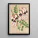 Clianthus Dampieri mit weißen Blumen am roten Rand - Charles Antoine Lemaire — gerahmtes Bild an der Wand