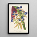 Cochliostenia odoratissimum - Charles Antoine Lemaire — gerahmtes Bild an der Wand