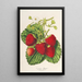 Erdbeerbeet Oscar - Charles Antoine Lemaire — gerahmtes Bild an der Wand