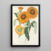 Gazania splendens ibrido - Charles Antoine Lemaire — quadro incorniciato alla parete