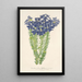 Leschenaultia biloba - Charles Antoine Lemaire — gerahmtes Bild an der Wand