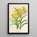 Reproduktion des Gemäldes Lilium Leichtlinii - Charles Antoine Lemaire