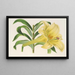 Lilium neilgherricum - Charles Antoine Lemaire — gerahmtes Bild an der Wand