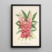 Reproduktion des Gemäldes Lupinus insignis hybridus - Charles Antoine Lemaire