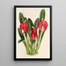 Reproduktion des Gemäldes Masdevallia Lindeni var Harryana - Charles Antoine Lemaire