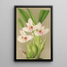 Reproduktion des Gemäldes Maxillaria grandiflora - Charles Antoine Lemaire