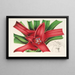 Nidularium Meyendorffii - Charles Antoine Lemaire — gerahmtes Bild an der Wand