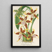 Reproduktion des Gemäldes Odontoglossum hallii - Charles Antoine Lemaire