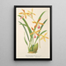 Odontoglossum wallisii - Charles Antoine Lemaire — gerahmtes Bild an der Wand