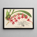 Odontoglossum roseum - Charles Antoine Lemaire — gerahmtes Bild an der Wand