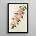 Prunus triloba - Charles Antoine Lemaire — gerahmtes Bild an der Wand