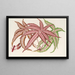 Pteris aspericaulis var. tricolor - Charles Antoine Lemaire — quadro incorniciato alla parete