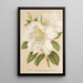Rhododendron Sesterianum hybride - Charles Antoine Lemaire — gerahmtes Bild an der Wand
