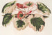 Saxifraga fortunei Hort. angl. var. tricolor - Charles Antoine Lemaire — Ansicht des Kunstwerks