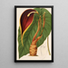 Riproduzione del dipinto Steudnera colocasifolia - Charles Antoine Lemaire
