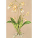 Utricularia montana - Charles Antoine Lemaire — Ansicht des Kunstwerks
