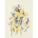 Petits jonquilles - Charles Demuth — vista dell’opera