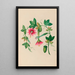 Disegni di fiori e frutti tropicali dell'America del Sud Pl03 - Charles Empson — quadro incorniciato alla parete