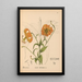 Heilpflanzen Pl078 - Charles Frederick Millspaugh — gerahmtes Bild an der Wand