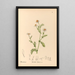 Pflanzenmedizin Pl177 - Charles Frederick Millspaugh — gerahmtes Bild an der Wand