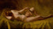 Vanité - Charles Frederick Ulrich — Ansicht des Kunstwerks