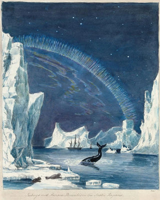 Charles Hamilton Smith - Icebergs and Aurora Borealis in the Arctic Regions.webp