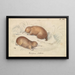 Echidné à long bec - Charles Hamilton Smith — quadro incorniciato alla parete