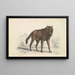 The Black Wolf - Charles Hamilton Smith — framed artwork on a wall