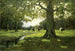 Ruisseau de prairie - Charles Paul Gruppe — Ansicht des Kunstwerks