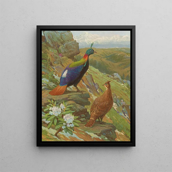 Charles Robert Knight - Himalayan Impeyan Pheasant.webp