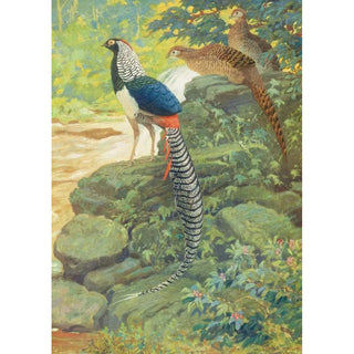 Charles Robert Knight - Lady Amherst Pheasant.webp