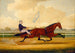 Budd Doble Conduisant Goldsmith Maid al Belmont Driving Park - Charles Spencer Humphreys — vista dell’opera