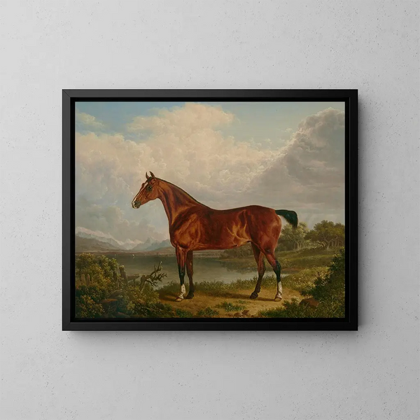 Ein rotbrauner Jagd-Pferd gehörend zu Richard Tiltey - Charles Towne — gerahmtes Bild an der Wand