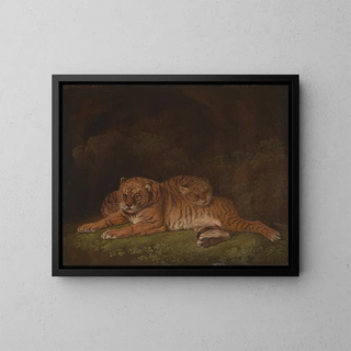 Charles Towne - Tigers.webp