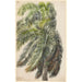 Riproduzione del dipinto Palma Real - Charles de Wolf Brownell