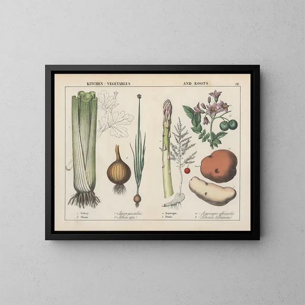 Küchen-Gemälde Gemüse und Wurzeln: Sellerie, Zwiebel, Spargel, Kartoffel - Charlotte Mary Yonge — gerahmtes Bild an der Wand