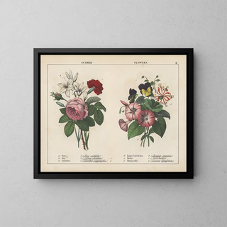 Charlotte Mary Yonge - Summer Flowers.webp