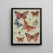 American Butterflies Pl3 - Chase Sanborn — framed artwork on a wall