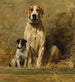 Cane e tana in un canile - John Emms — vista dell’opera