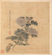 Chrysanthème - Chen Hongshou — vista dell’opera