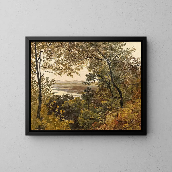Blick auf die unregulierte Donau vom Bisamberg aus - Kreis von Friedrich Gauermann — gerahmtes Bild an der Wand