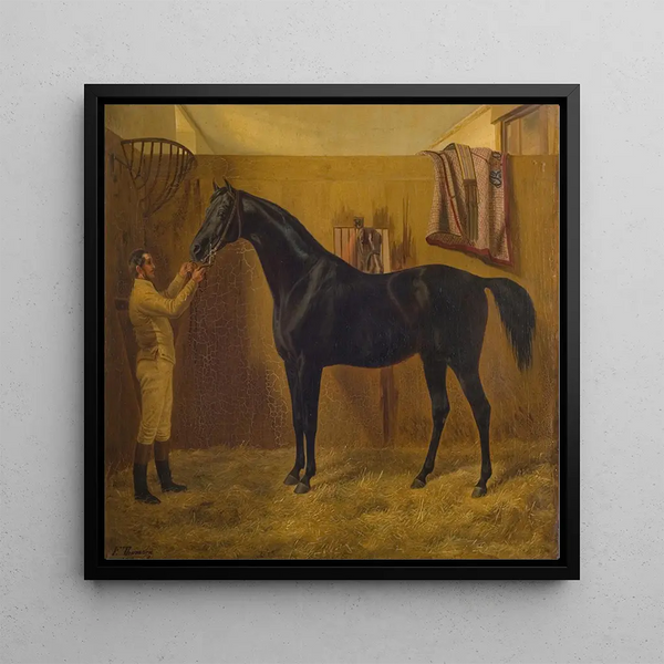Comète noire - Fritz Thomsen