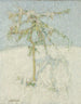 Paesaggio innevato nelle Ardenne - Constant Permeke — vista dell’opera
