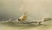 Port of Bridlington - Copley Fielding — artwork view