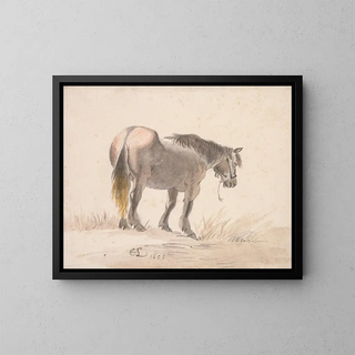 Cornelis Saftleven - Horse Standing on a Mound.webp