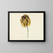 Tulpe namens Bizard Leodie - Cornelis van Noorde — gerahmtes Bild an der Wand